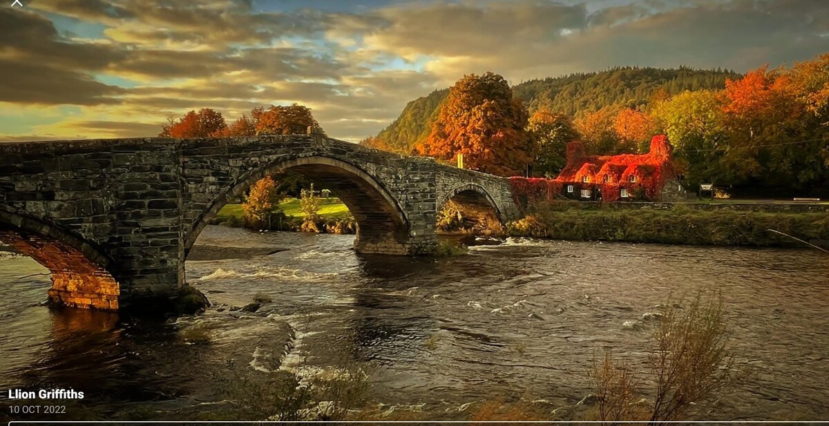A stone bridge arches over a flowing river, surrounded by vibrant autumn foliage. The changing leaves create a colorful backdrop, and gentle waves can be seen reflecting the landscape. A historic structure with ivy-covered walls is visible nearby, set against a hilly terrain.