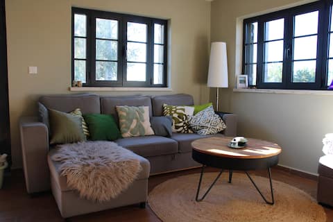 Regina, 5-room villa with private jacuzzi, Praia Cardigos 5km.