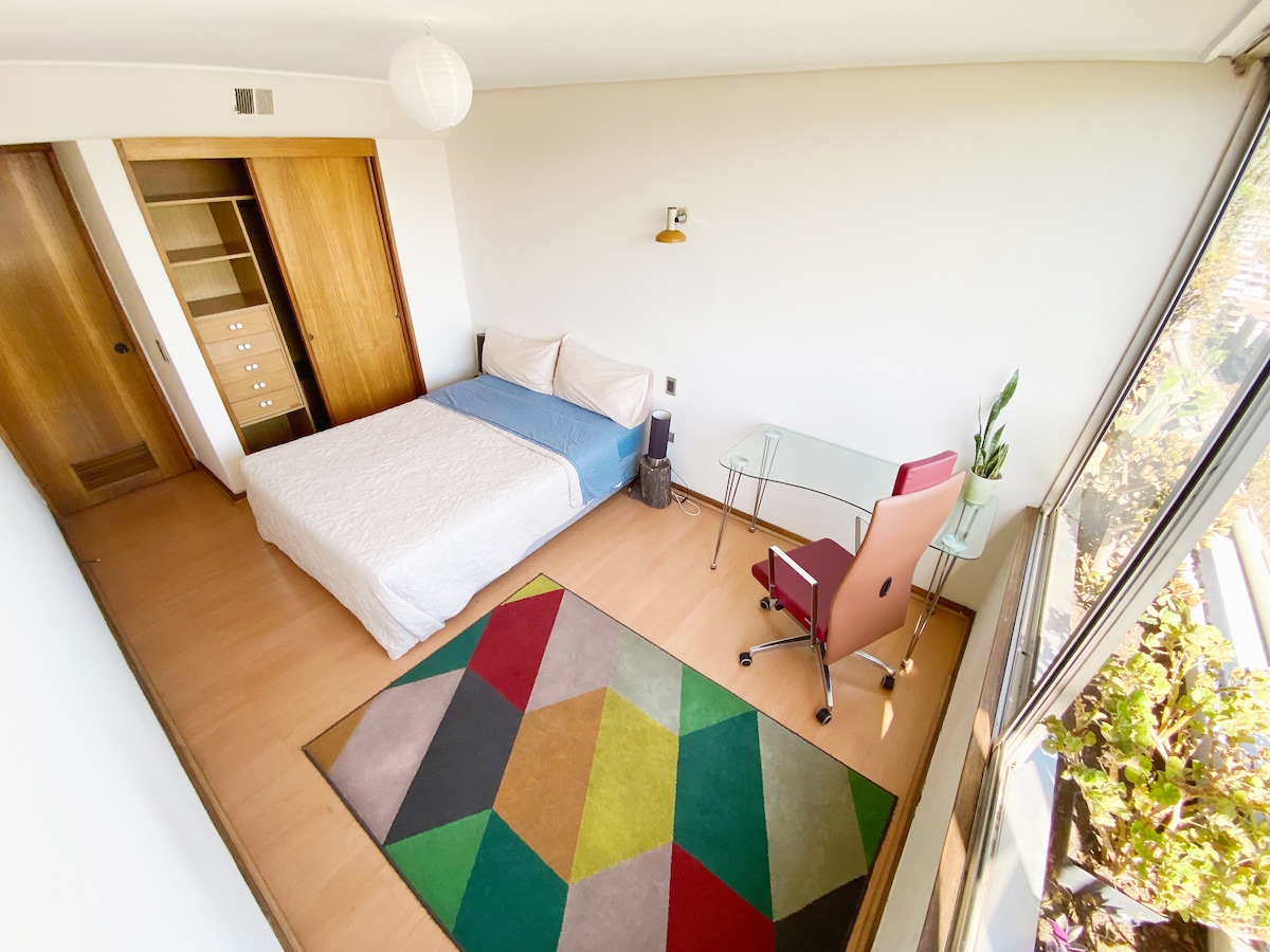 房间出租，配有双人床、工作区、衣橱和全景。