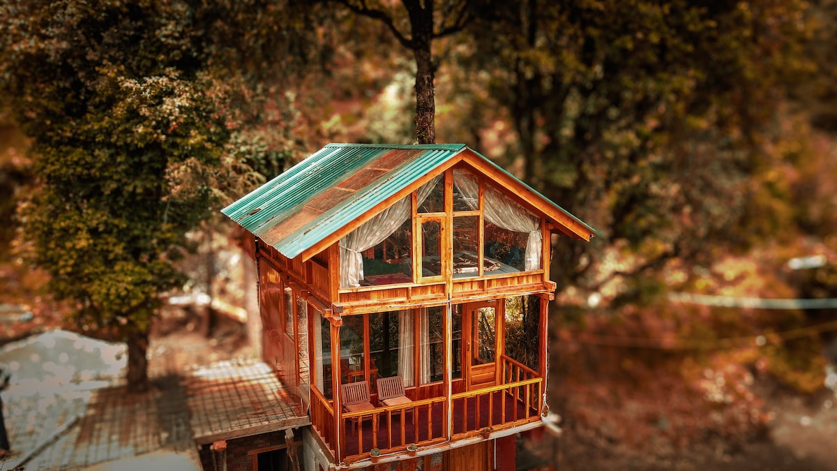 A wooden treehouse reveals large glass windows that capture the surrounding forest views. Its design includes a peaked metal roof and a private balcony with seating, inviting relaxation and connection with nature. The vibrant wooden structure is surrounded by lush greenery.