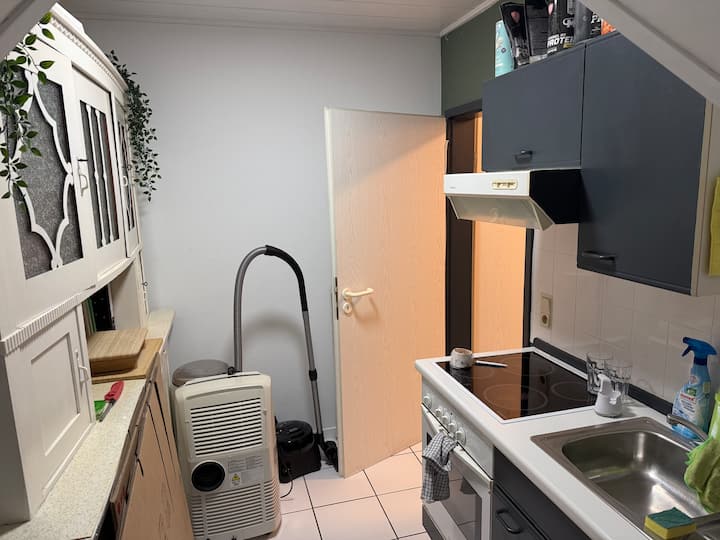 Romantische Dachwohnung 2. Etage - Raunheim