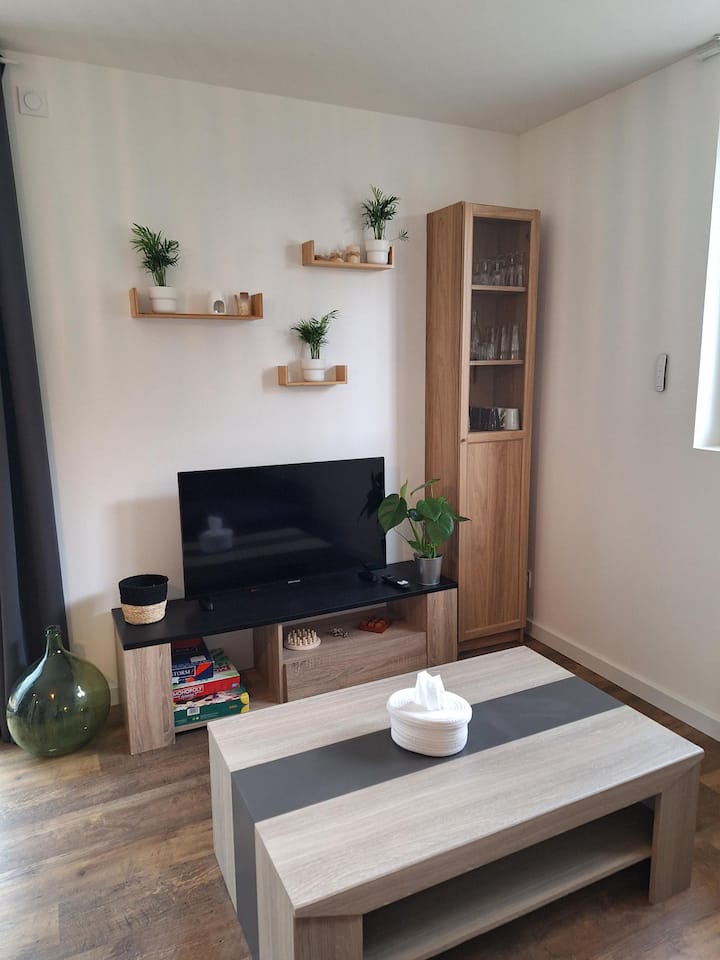 Studio 2 à 4 Personnes Avec Terrasse - Feurs