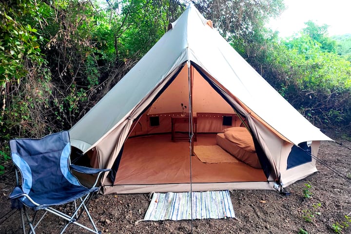 Habitación 7