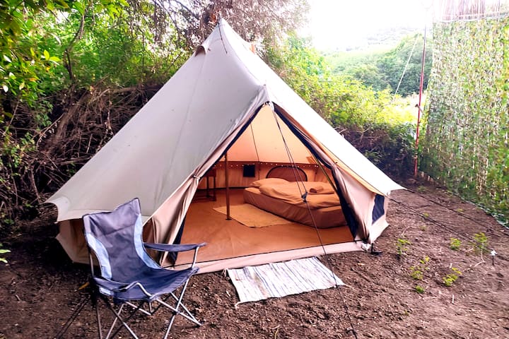 Habitación 6