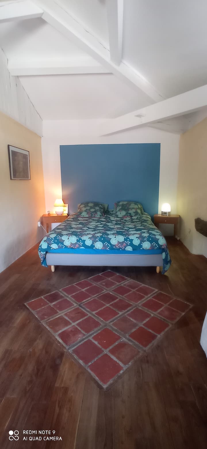Habitación 1