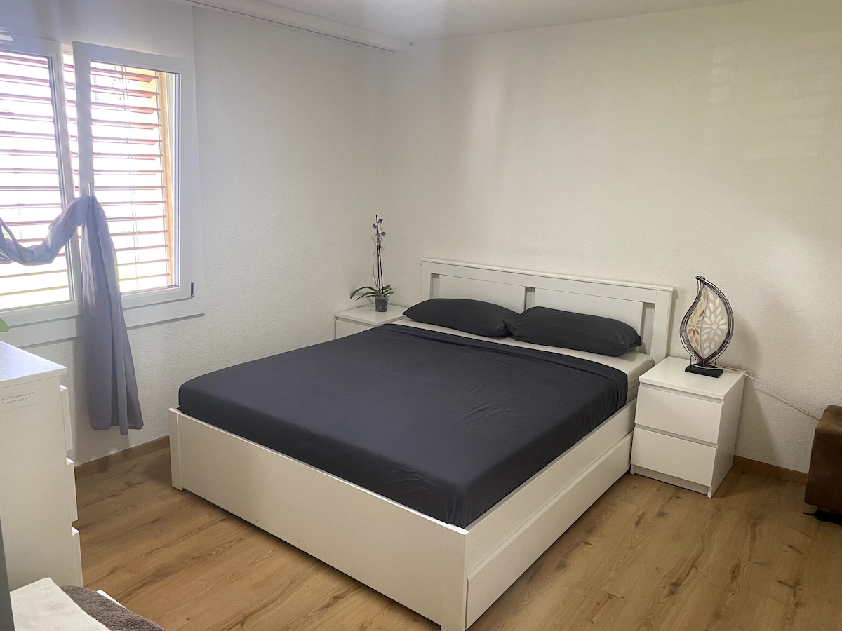 A spacious bedroom features a large bed with dark bedding, complemented by two bedside tables. Natural light streams in through the window, adorned with light-colored shutters. A potted plant and a decorative lamp add a touch of warmth to the minimalist decor.