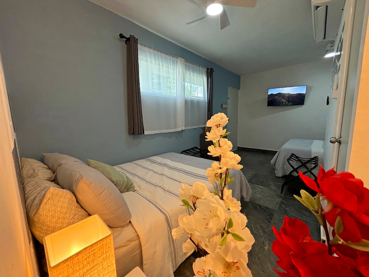 A cozy bedroom is presented with two spacious beds adorned in soft linens and decorative pillows. Natural light filters through sheer curtains, illuminating the room's light blue walls. A flat-screen TV is mounted on the wall, while a nightstand with a lamp and artificial flowers add warmth to the space.