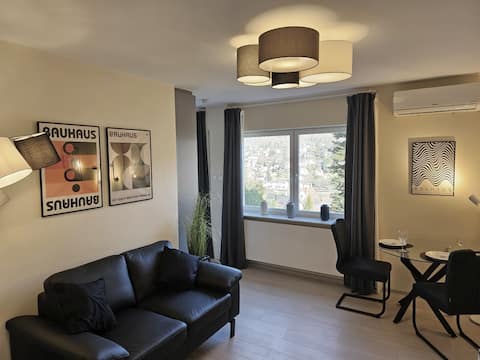 Successful Airbnb property: Top location Heidelberg near the old town directly by the forest A2 in Heidelberg