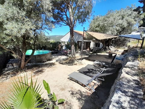 House with pool