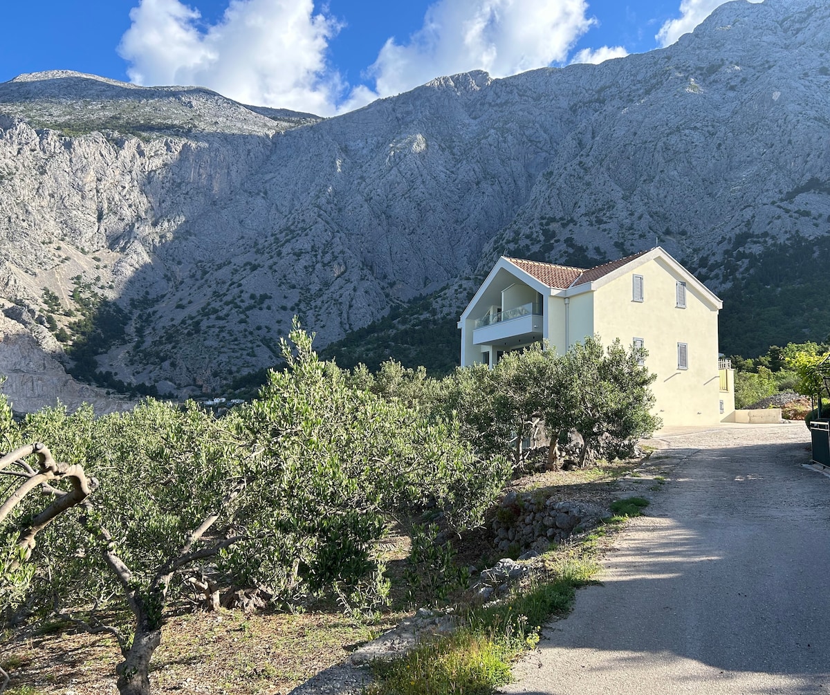 A charming two-story stone house is nestled among lush olive trees, with a backdrop of majestic mountains. The property showcases a light yellow exterior, while the road leading to the house is lined with natural landscaping, creating a serene and peaceful setting.