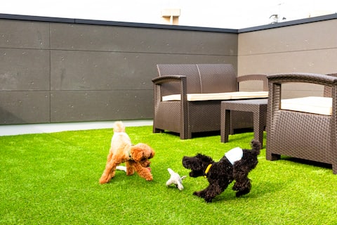 - Amp Flat HEC 01 - Private lodging that can be enjoyed with pets/Maximum 8 people/Free parking/10-m