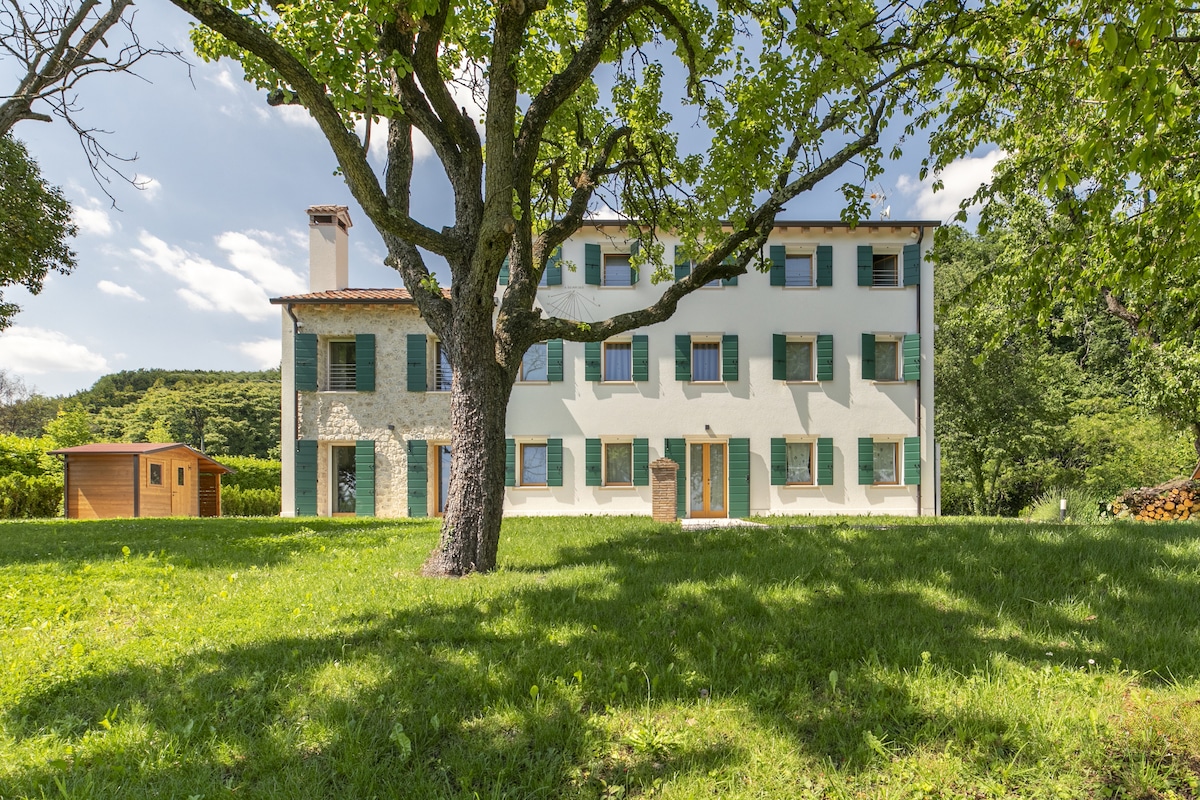 A renovated house is set within a lush green landscape, framed by several trees. The structure features multiple windows with green shutters, inviting natural light inside. A wooden shed is visible in the garden area, contributing to the tranquil outdoor setting.