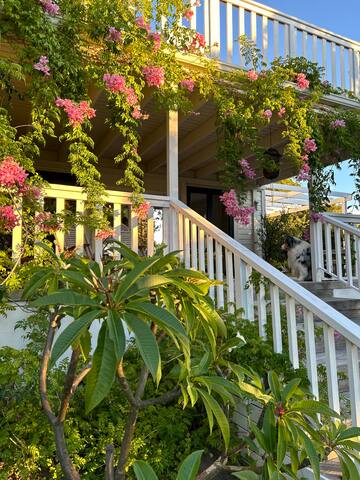 Boho 4BR Home & Cottage with Pool, Imhoff’s Gift gallery image 3