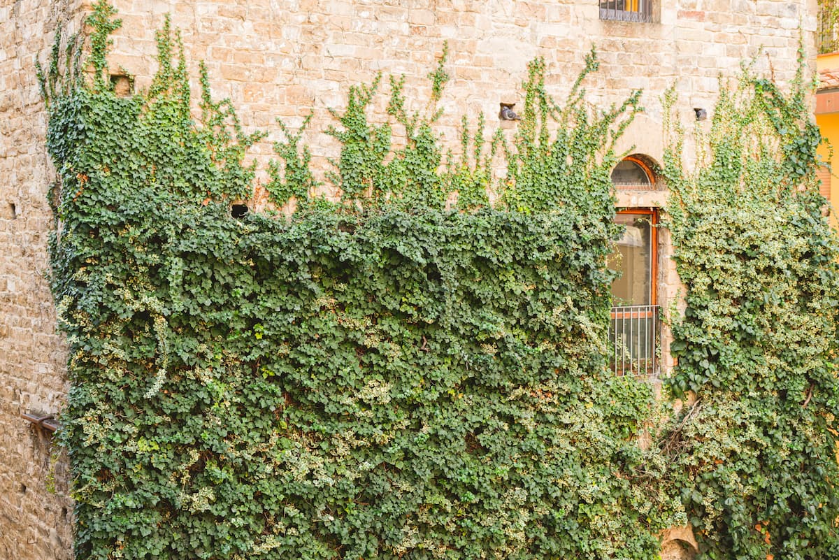 Ponte Vecchio — Vista sulle torri medievali — 25