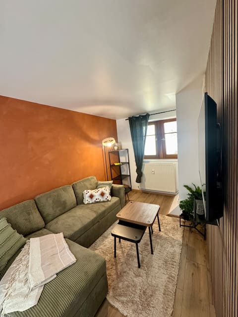 Top Airbnb: L'Appart De Papa à Bas Rhin