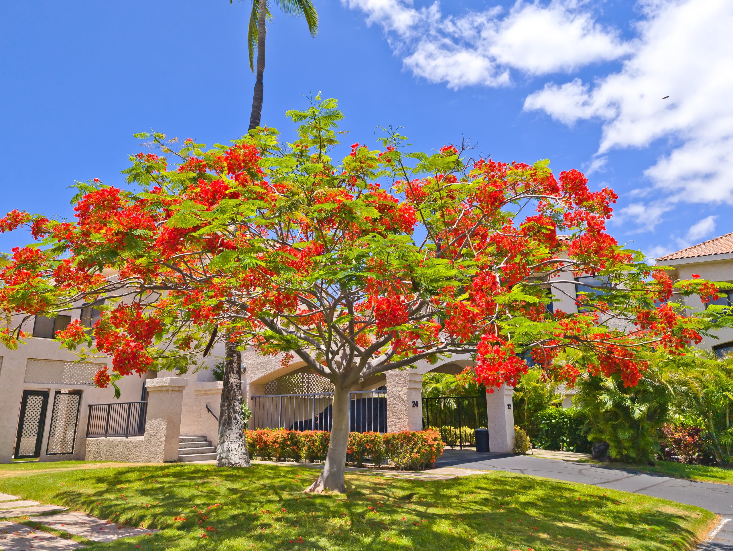 Waikoloa Shores Beach Resort Condo Hale Kai 132 - Photo 41