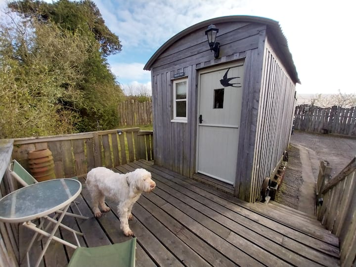 Shepherds Hut At Meadowbeck - Shepherds Watch - Robin Hood's Bay