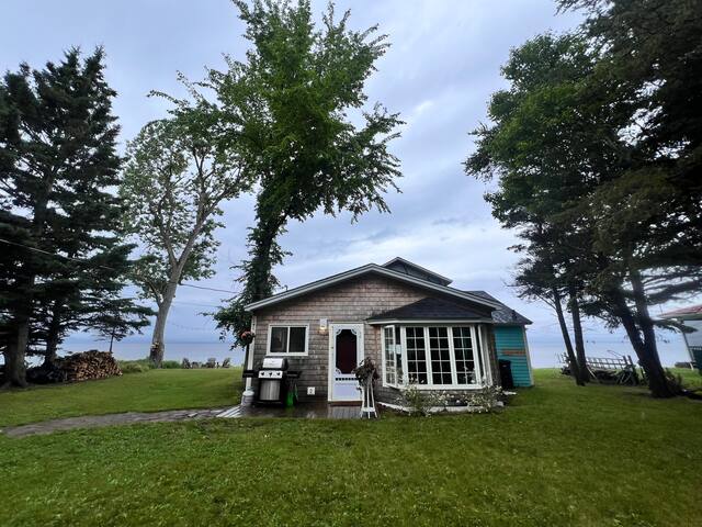 Octopus’s Garden in the Baie gallery image 2