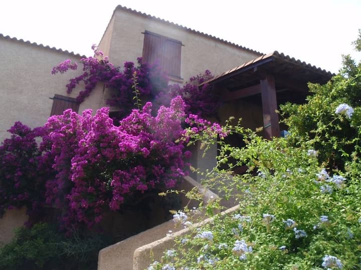Villa Mitoyenne Bord De Mer - Lumio