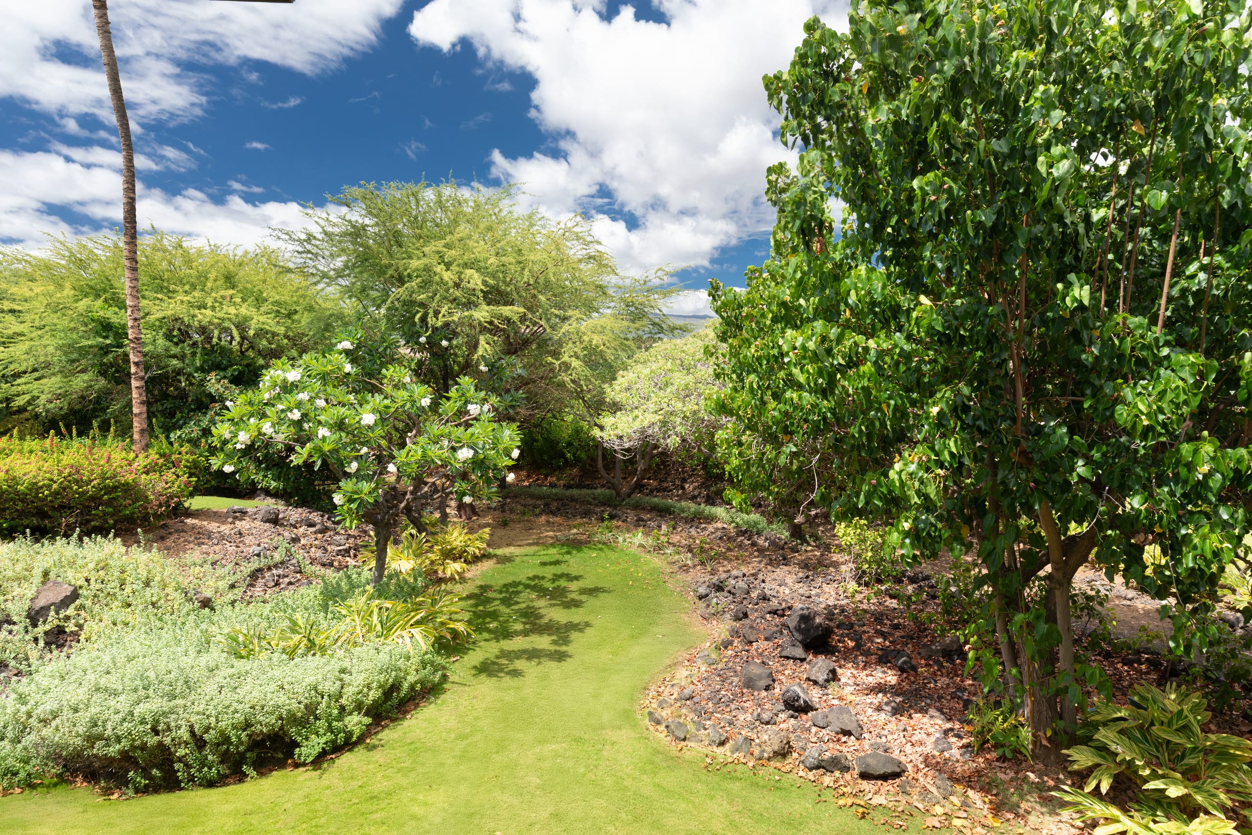 Home in Waimea · ★5.0 · 4 bedrooms · 7 beds · 3.5 baths - Image 28