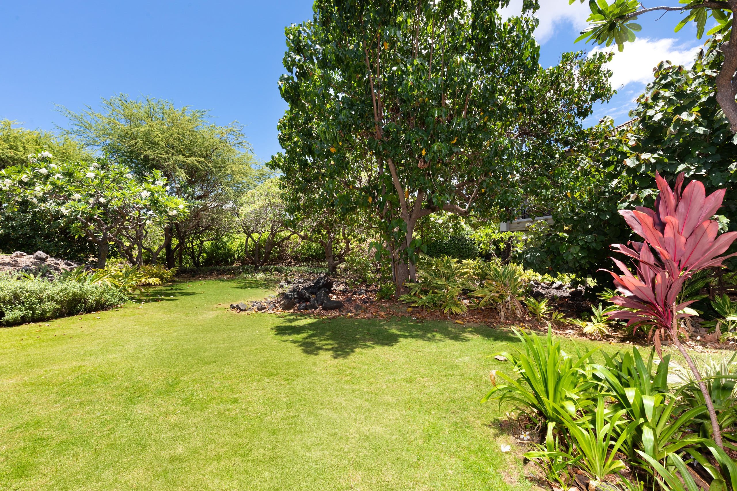 Home in Waimea · ★5.0 · 4 bedrooms · 7 beds · 3.5 baths - Image 29