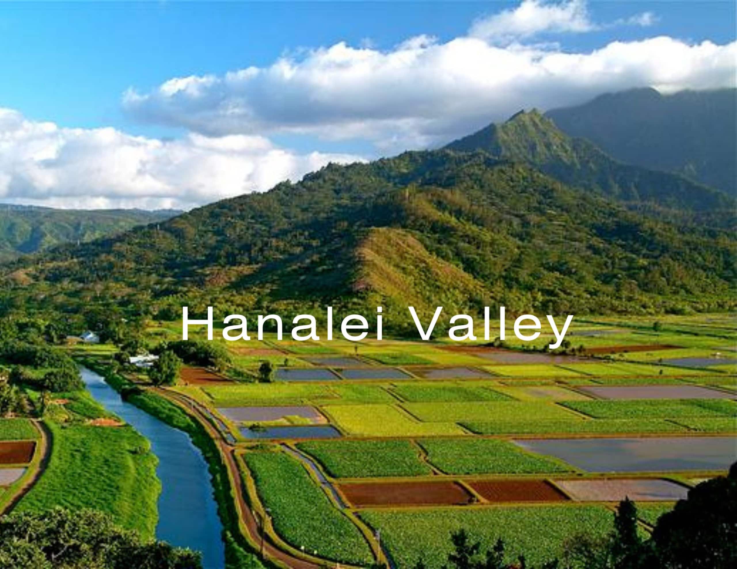 NEW Hanalei Happiness - Modern Family Retreat - Image 61