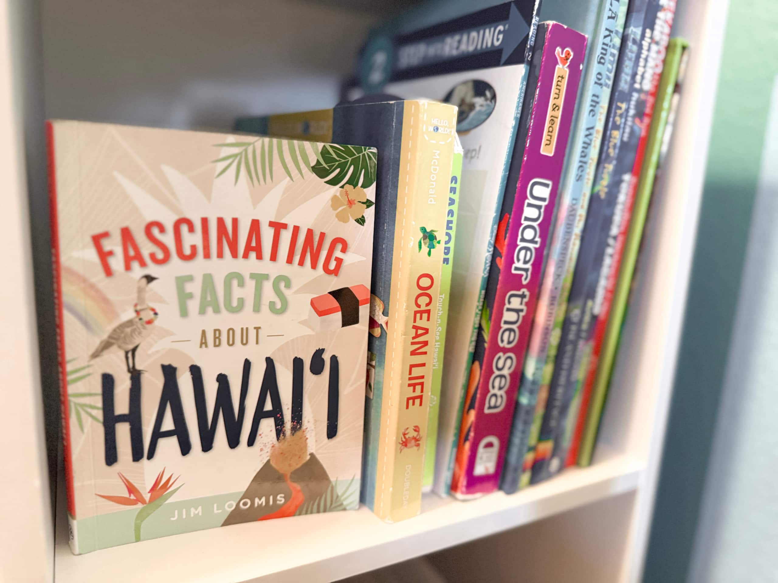 NEW Hanalei Happiness - Modern Family Retreat - Image 35