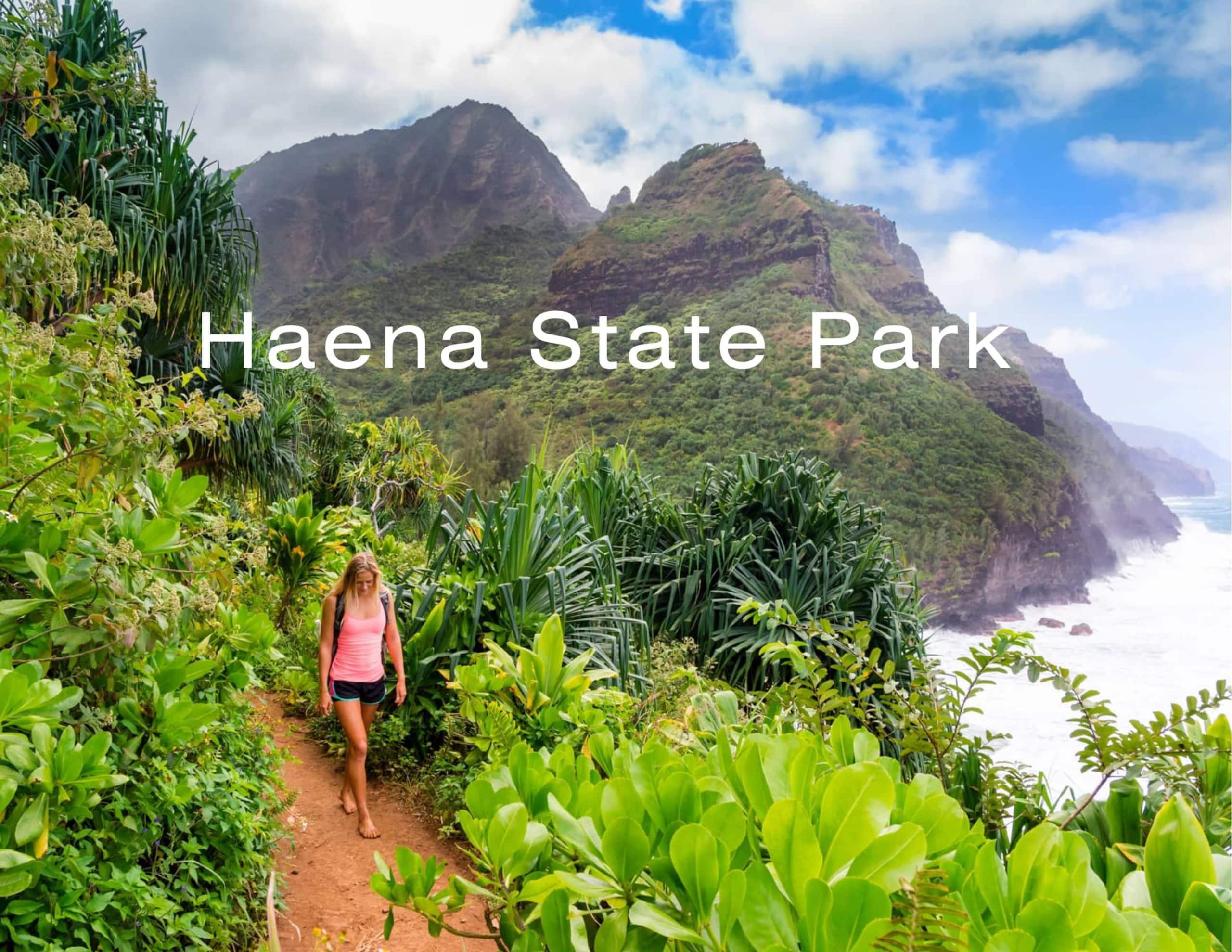 NEW Hanalei Happiness - Modern Family Retreat - Image 65