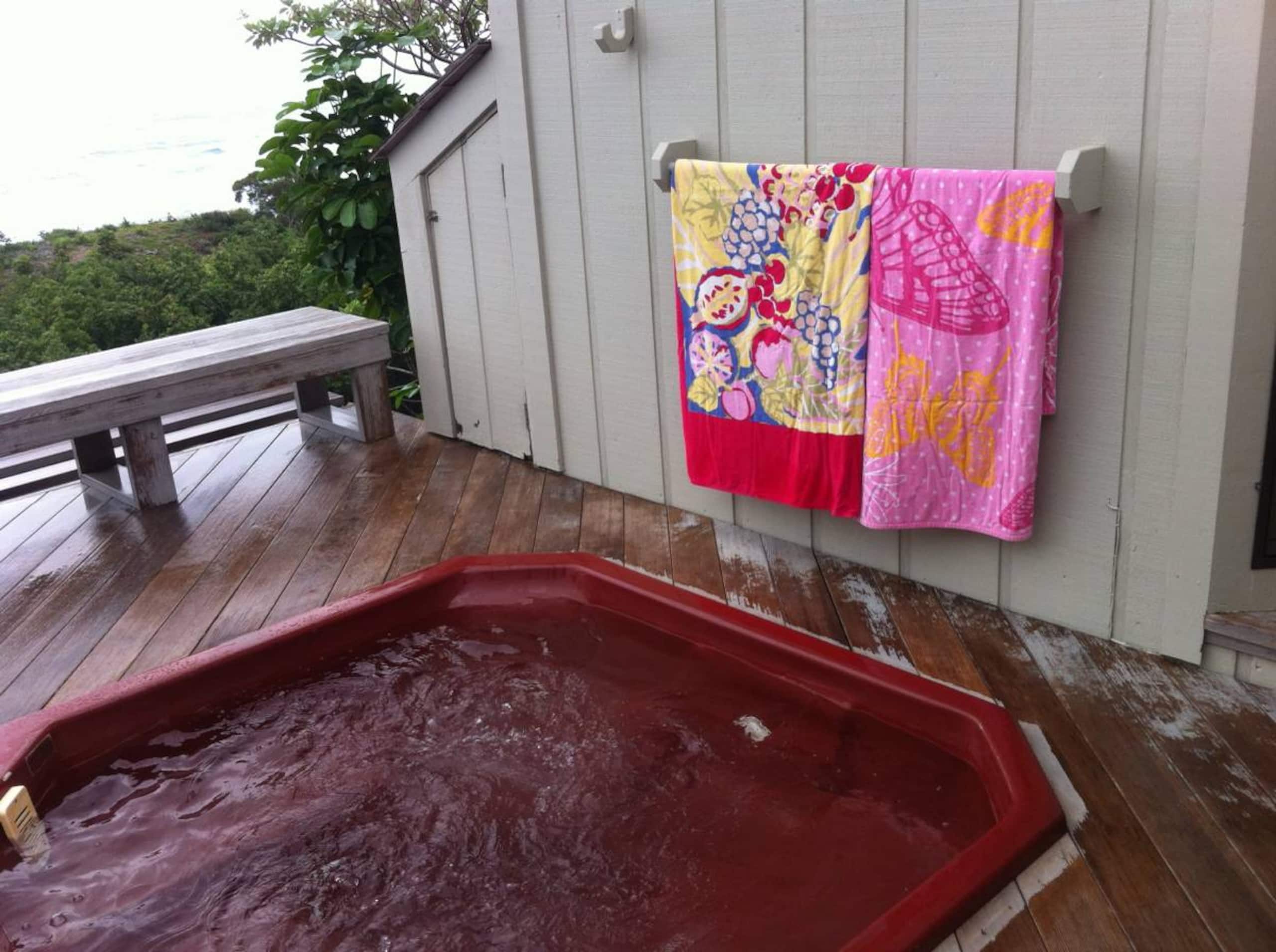 Guesthouse in Princeville · ★5.0 · Studio · 1 bed · 1 bath - Image 11