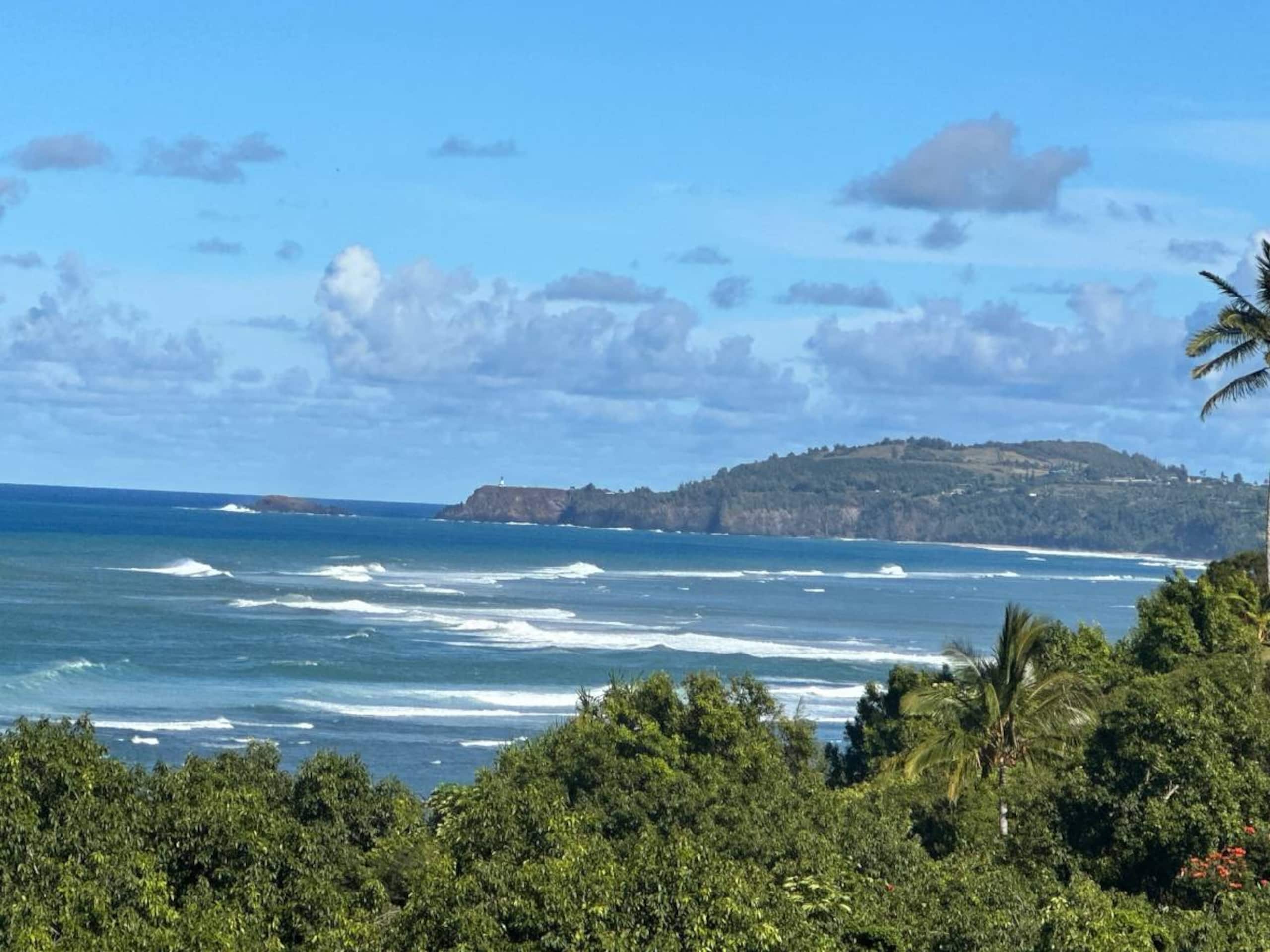 Guesthouse in Princeville · ★5.0 · Studio · 1 bed · 1 bath - Image 20