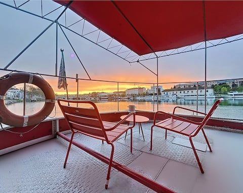 Atypical lovely apartment on Péniche in lyon