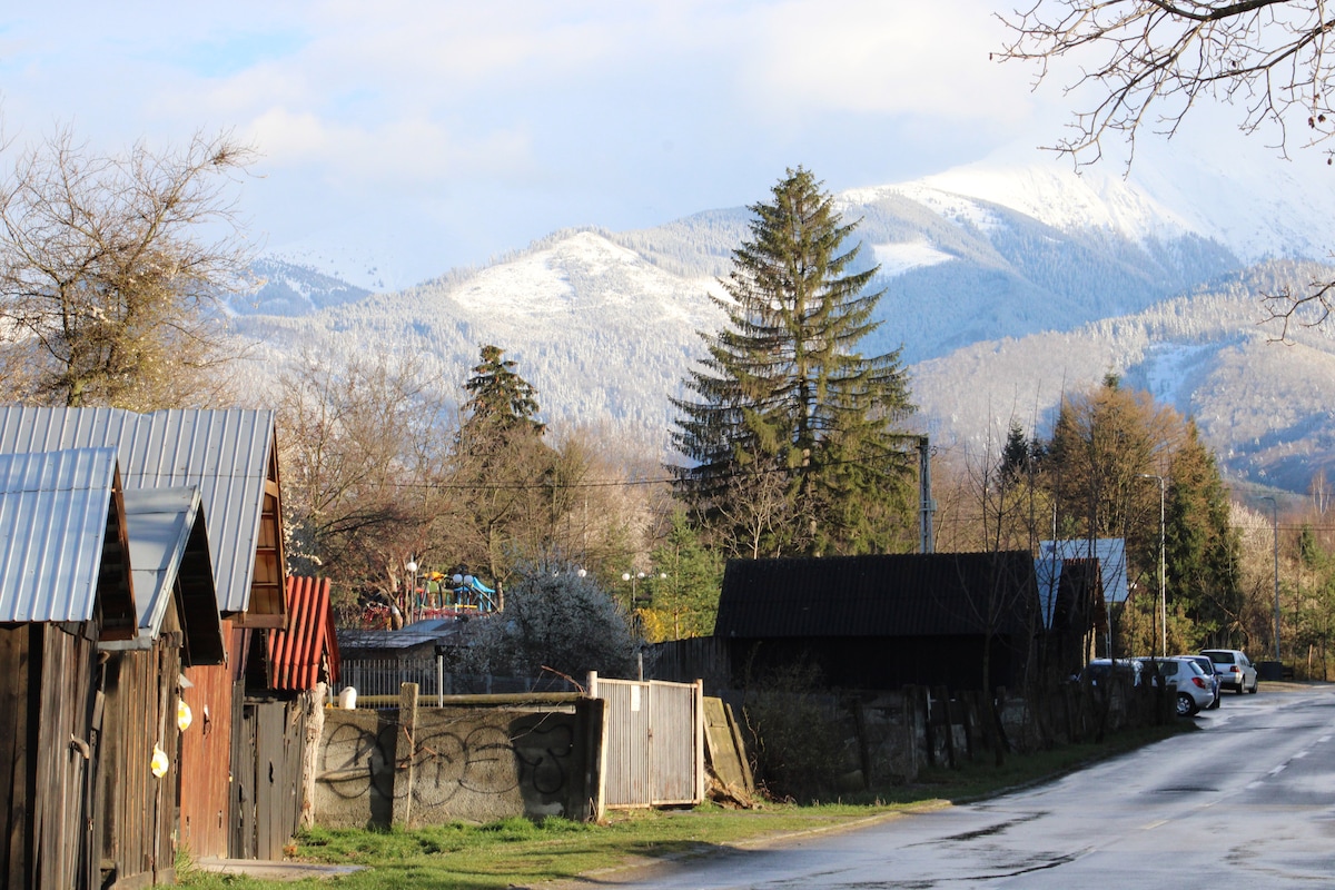 A scenic view showcases a row of wooden houses with metal roofs, nestled alongside a quiet road. Snow-capped mountains rise in the background, framed by trees and a clear sky, creating a serene atmosphere typical of rural life.