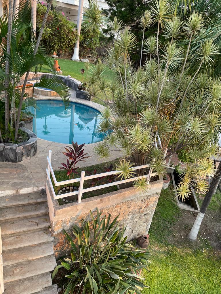 A private pool with clear water is surrounded by lush greenery and tropical plants. A stone pathway leads from the house to the pool area. The setting is bright and inviting, with a mix of palm trees and ornamental plants adding to the natural ambiance.