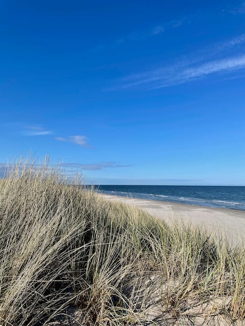 Close to the beach at Sandhammarens nature reserve