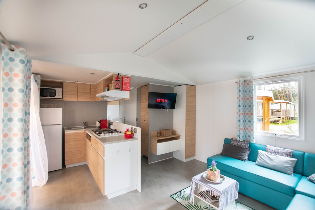 An open living space features a modern kitchen with sleek cabinetry and appliances, including a gas stove and refrigerator. A comfortable sofa in a teal color is positioned beside a coffee table adorned with a decorative plant. A television is mounted on the wall, enhancing the space.