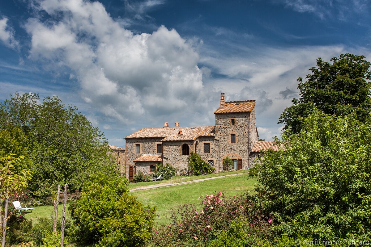 Il Cellaio, Agroturismo Pulicaro - Gospodarstwa agroturystyczne do ...