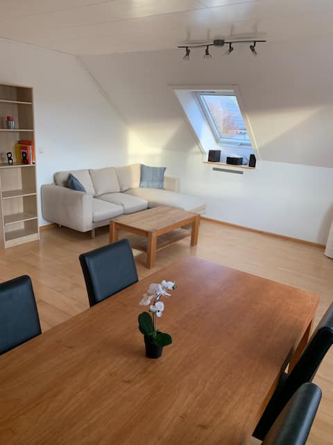 Top performing Airbnb: Beautiful 3-room apartment near Basel in Nordwestschweiz