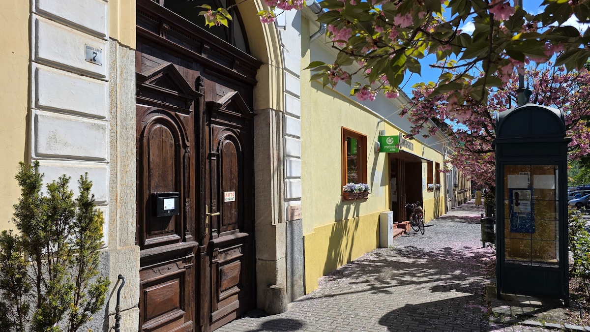 A charming entrance with intricately designed wooden doors leads to the building. Cherry blossom trees frame the walkway, with bright sunlight filtering through the leaves. A bike leans against a wall nearby, and a shop with a green sign is visible in the background.