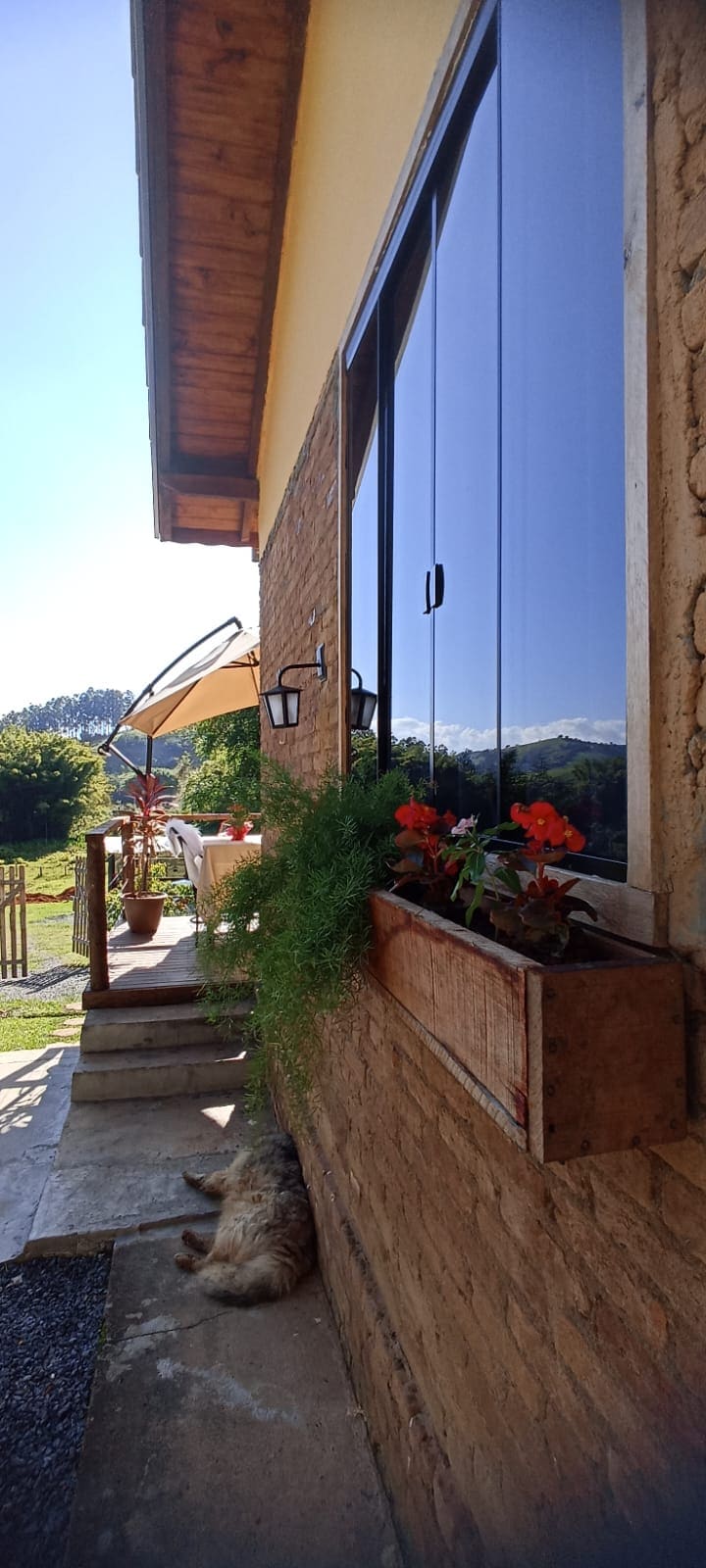 A well-lit exterior showcases a cozy area outside a charming building, featuring large windows with flower boxes filled with vibrant plants. A dog rests peacefully nearby, while a table is set under an umbrella in the distance, set against a backdrop of lush greenery and mountains.
