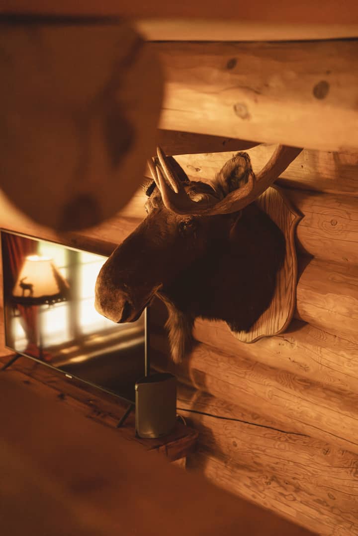 The silent guardian of the cottage, always there to watch over the evenings