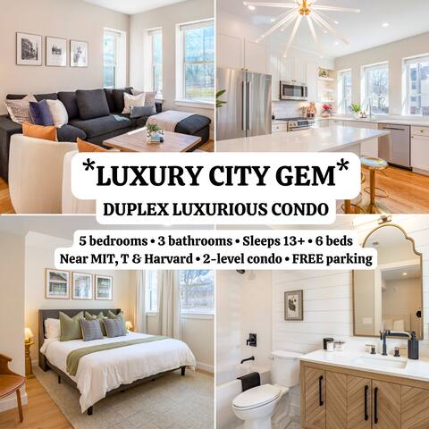 Luxurious Condo near MIT, Harvard & the T+ Parking
