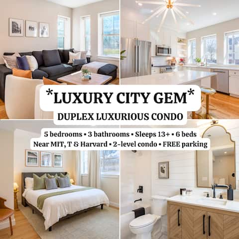Luxurious Condo near MIT, Harvard & the T+ Parking
