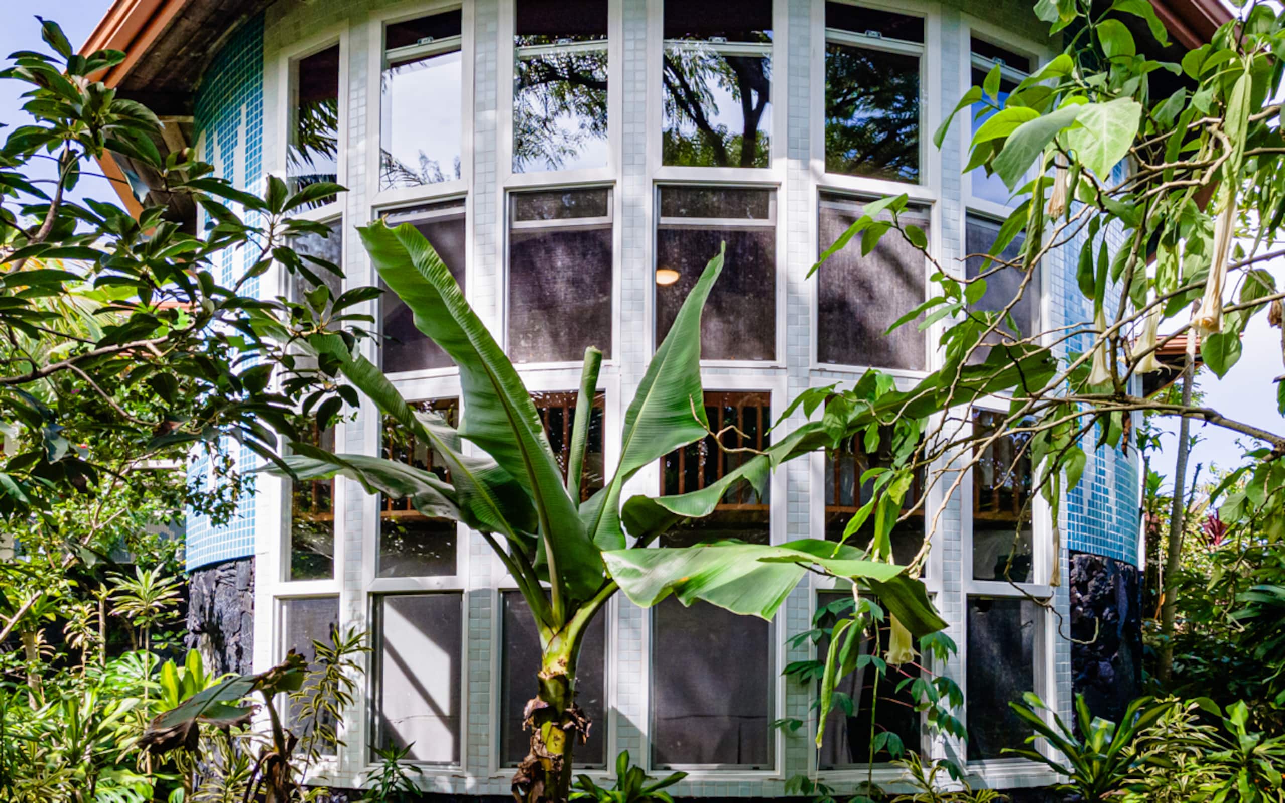 Guesthouse in Pahoa · ★4.88 · 1 bedroom · 2 beds · 1 bath - Image 14