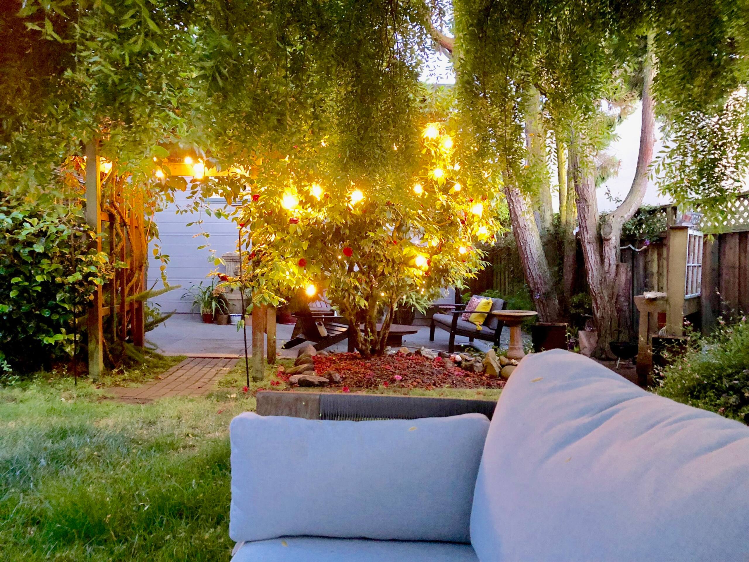 Home in San Francisco · ★4.95 · 2 bedrooms · 2 beds · 2 baths - Image 41
