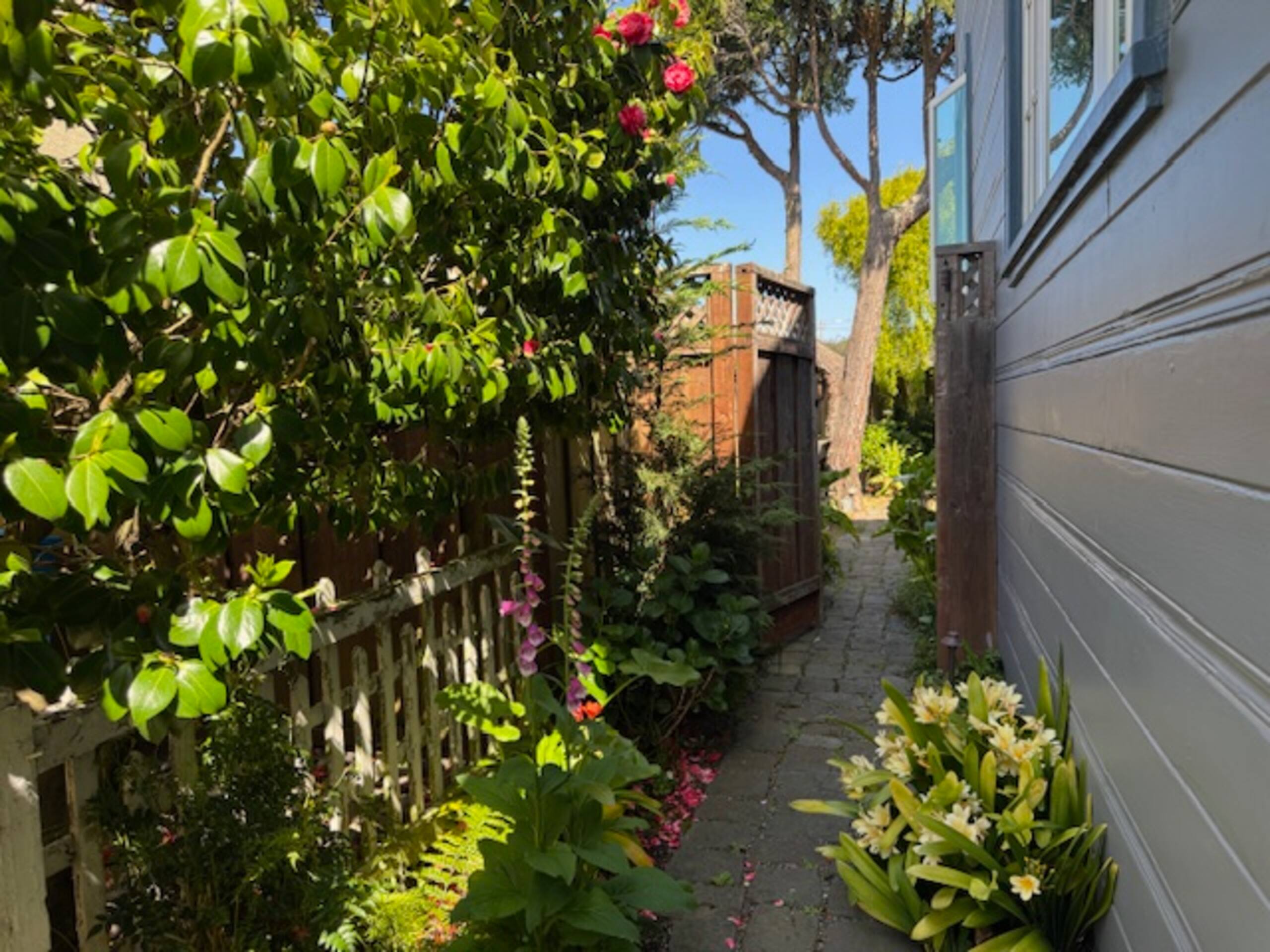 Home in San Francisco · ★4.95 · 2 bedrooms · 2 beds · 2 baths - Image 40