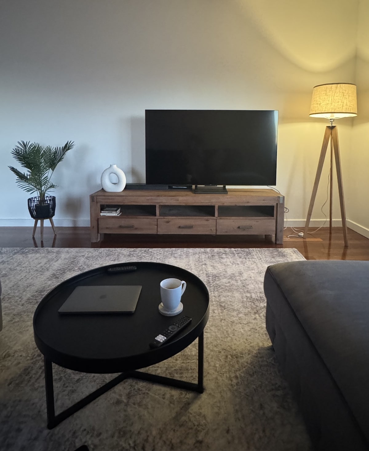 A living area features a dark coffee table with a laptop and cup positioned on top. A wooden media console supports a flat-screen television, while a tall lamp illuminates the space. A potted plant adds greenery to the corner, enhancing the room's ambiance.