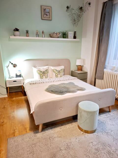 Cozy Downtown Apt near to all attractions, w A/C