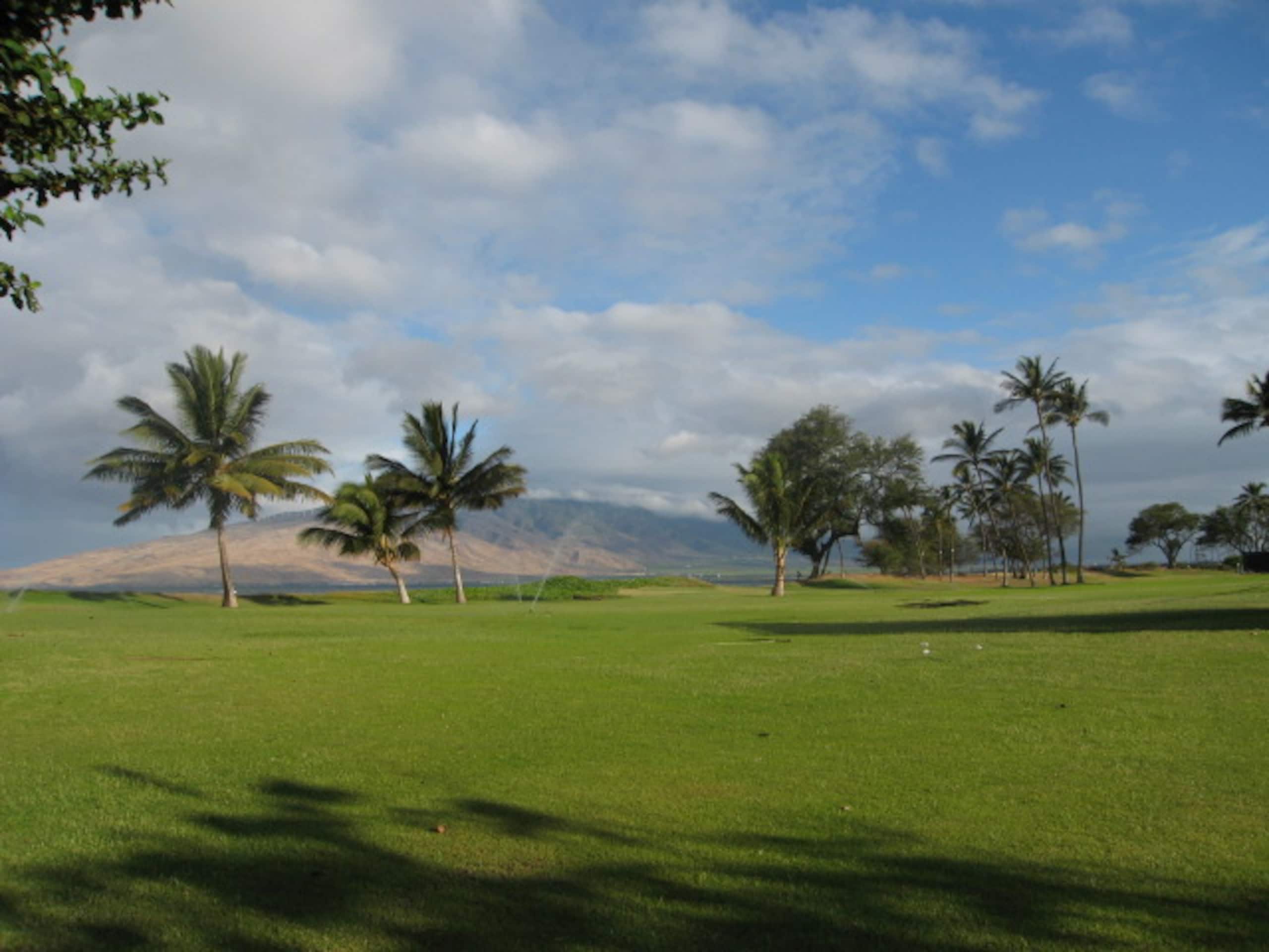 Condo in Kihei · ★4.78 · 1 bedroom · 3 beds · 2 baths - Image 16