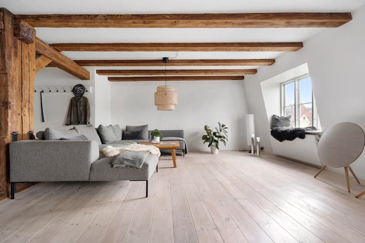 Placeret I Hjertet Af København - Copenhagen