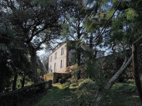 Family/primary property Clisson center